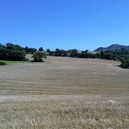 Casale Canneto Frontone